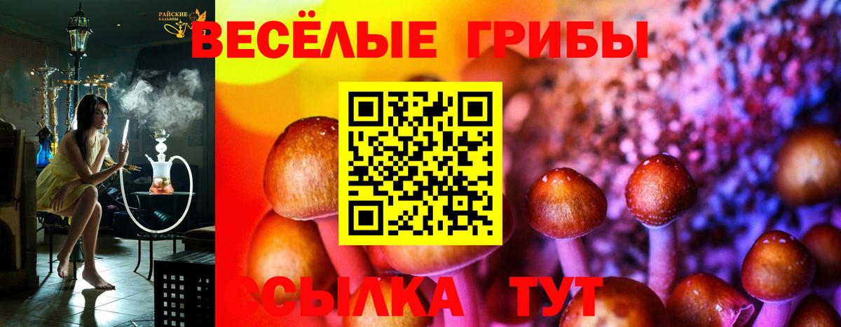 Псилоцибиновые грибы Psilocybine cubensis Костомукша